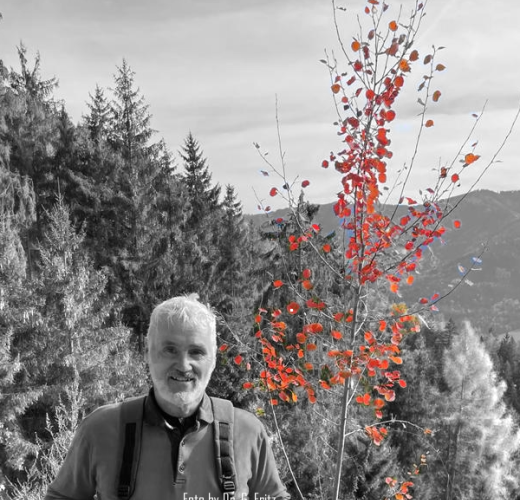 Dr. Günther Fritz | Inhaber von DEEP AND WIDE®