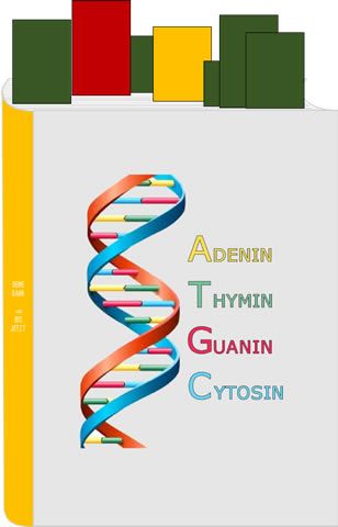 DNA - Desoxyribonukleinsäure