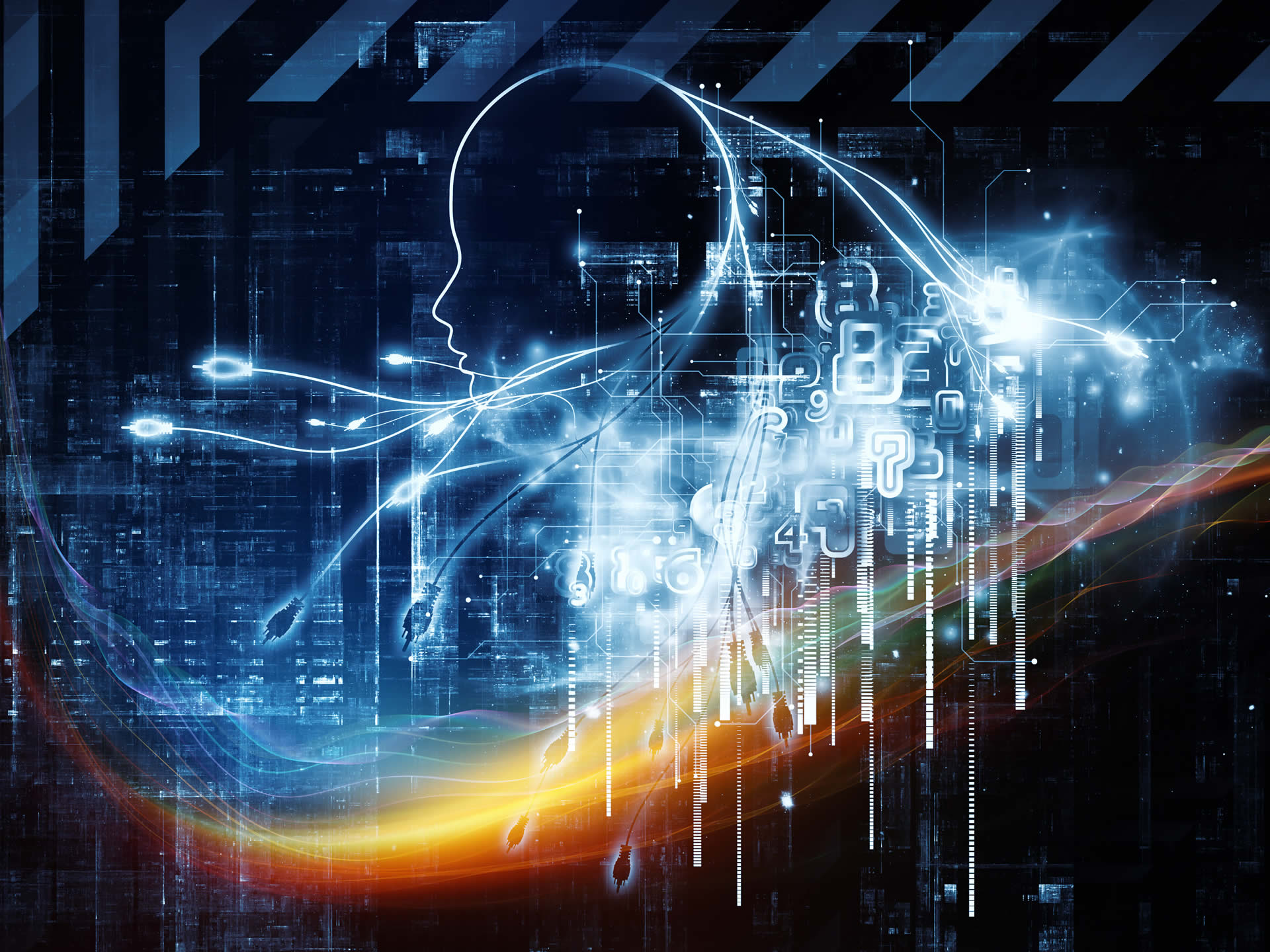 Wie wir denken | Was wir tun | Höhere Intelligenz